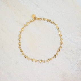 DOLPHIN ANKLET