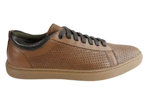 Ferricelli Finch Herren Lederschnürschuhe Freizeitschuhe Hergestellt in Brasilien Ferricelli Schuhe