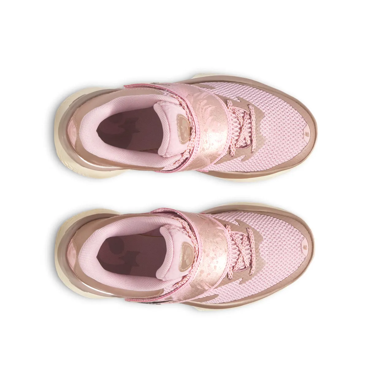 Kids Curry Fox 1 'Herrschaft Rose'