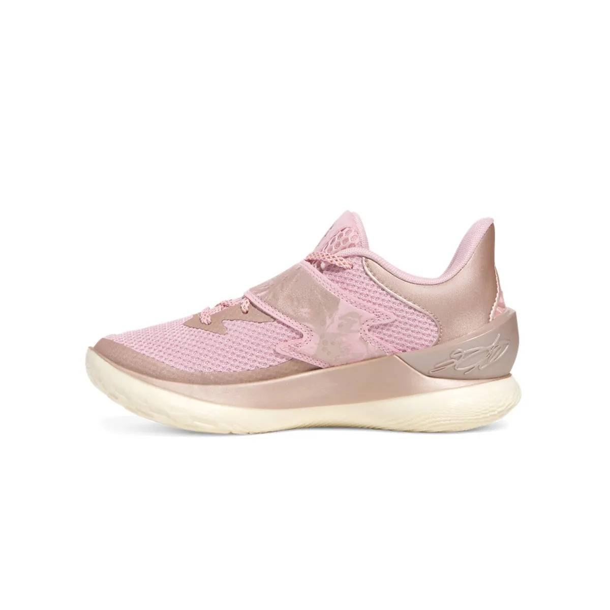 Kids Curry Fox 1 'Herrschaft Rose'