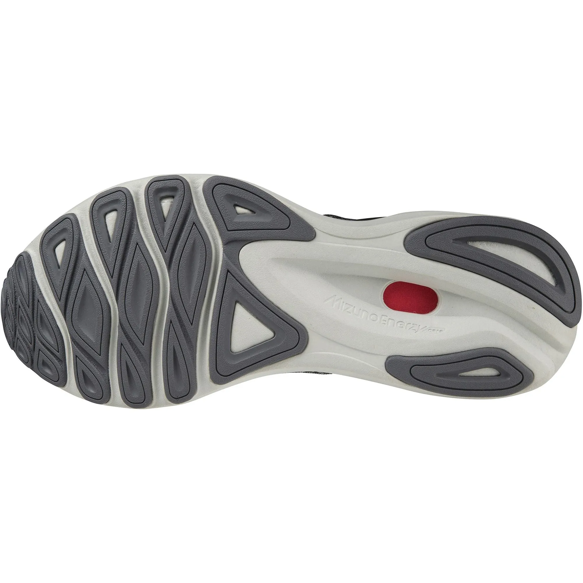 Schuhe Mizuno Mizuno Wave Skyrise 4 Herren Laufschuhe - Grau
