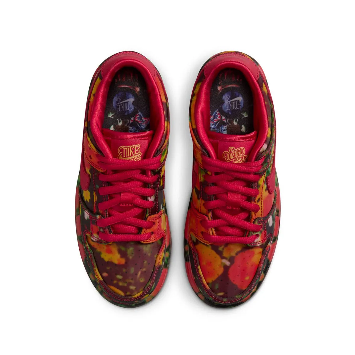 Wizard of Oz Kids SB Dunk Low Pro 'Mohnfelder'