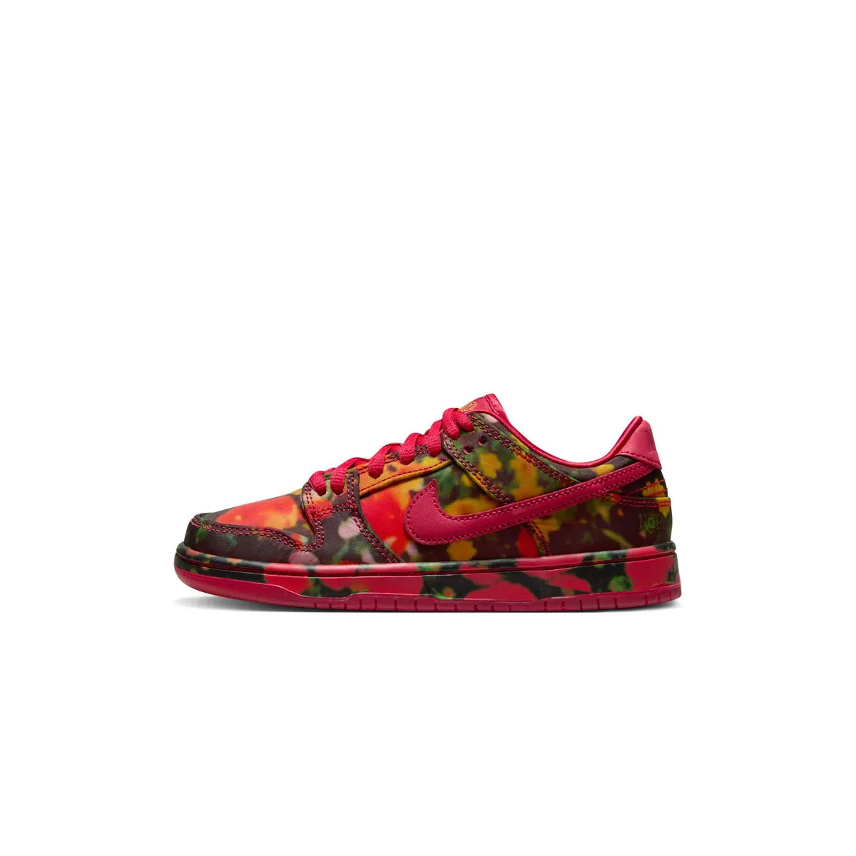 Wizard of Oz Kids SB Dunk Low Pro 'Mohnfelder'