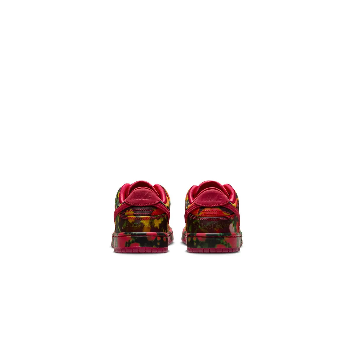 Wizard of Oz Kids SB Dunk Low Pro 'Mohnfelder'