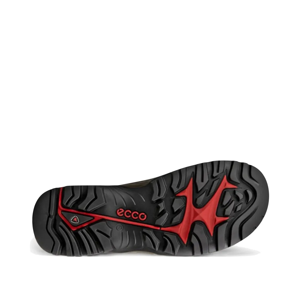 Ecco Herren Offroad wasserdichter Schuh in Schwarz/Mokka